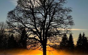 Hájenka Knížecí Pláně